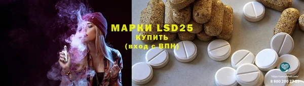 гидра Медвежьегорск
