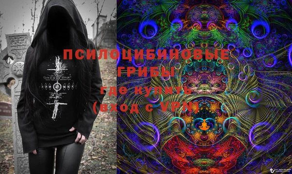 гидра Медвежьегорск
